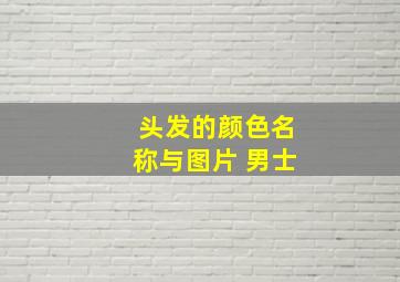 头发的颜色名称与图片 男士